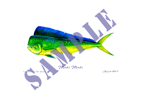 Mahi Mahi Art Print