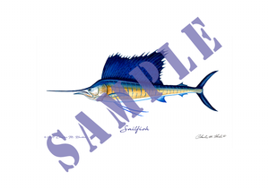 Sailfish Art Print